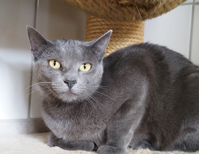 Bella – im zweiten Anlauf klappts!