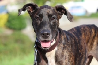 Tag der offenen Tür – Sonntag, 28. September von 11–18 Uhr